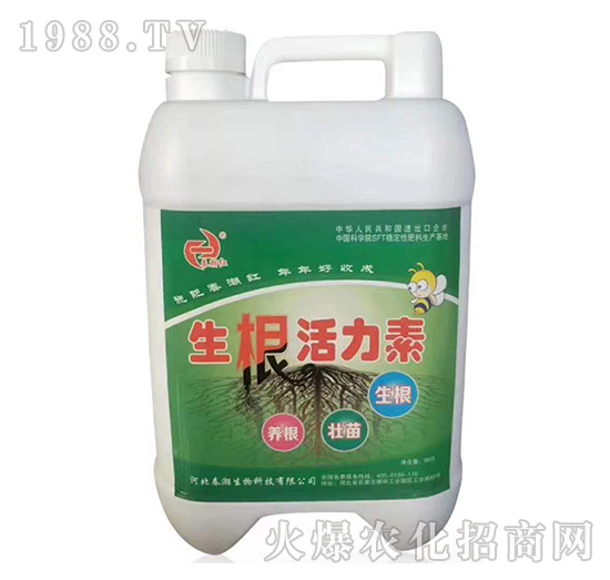 生根活力素-春潮紅