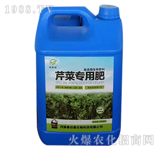 �۲ˌ��÷�-��ʥ��-���f���r�I(y��)