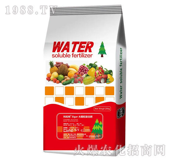 ���w����ጷ�-���V��(li��n)