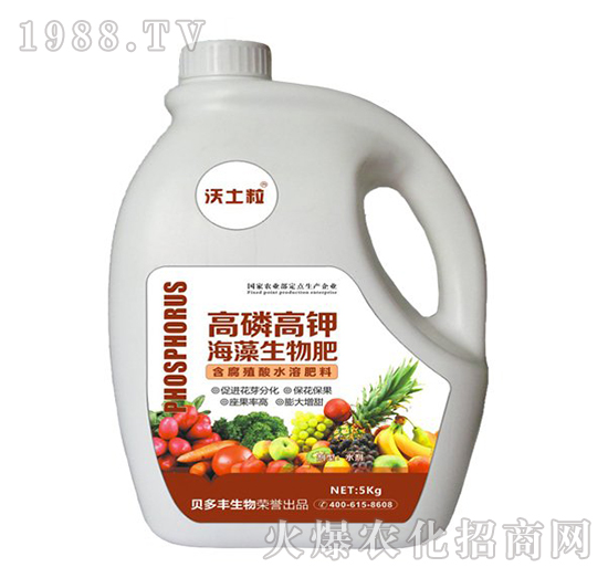 ���׸�⛺��������-ؐ���S