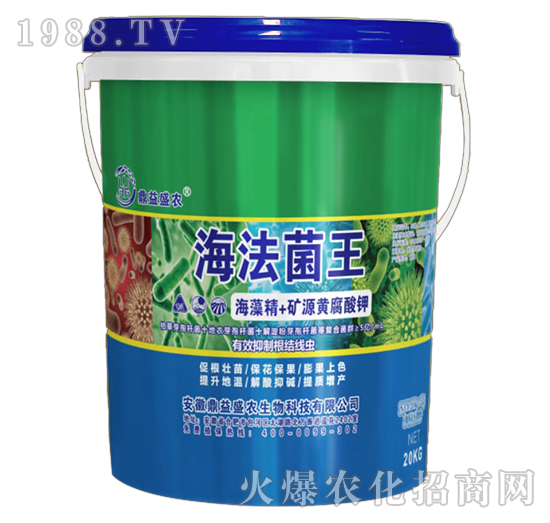 ��������-����ʢ�r(n��ng)