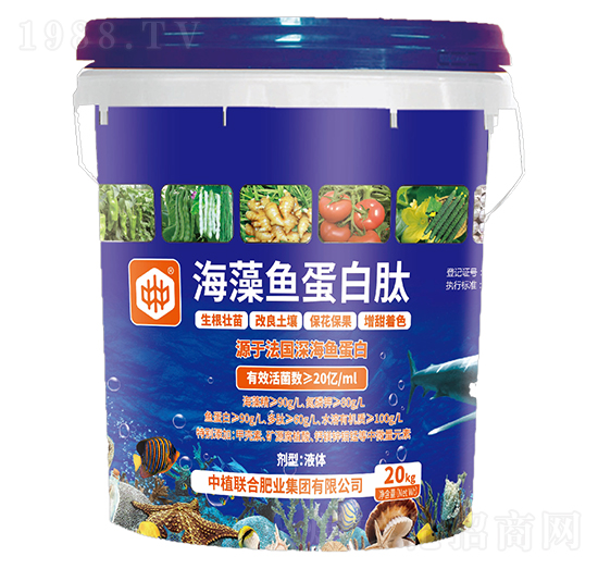 �����~������-��ֲ(li��n)��