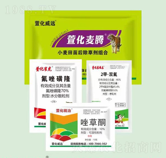 小麥田苗后除草劑組合-萱化麥騰-萱化威遠(yuǎn)