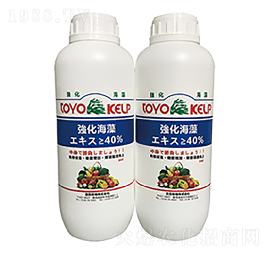 強(qiáng)化海藻-旭日華櫻