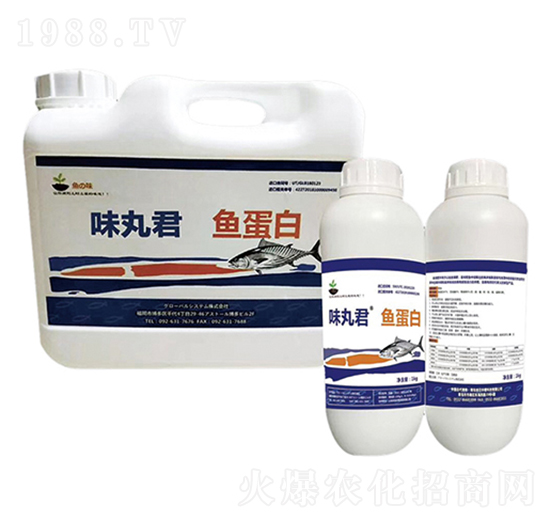 味丸君魚蛋白-旭日華櫻