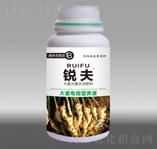 大姜專用營(yíng)養(yǎng)液-銳夫-迪樸芭斯諾