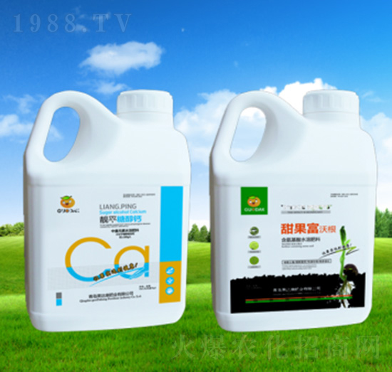 甜果富沃根-果達(dá)康肥業(yè)