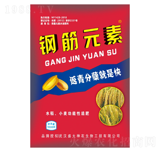 鋼筋元素-盛大生物