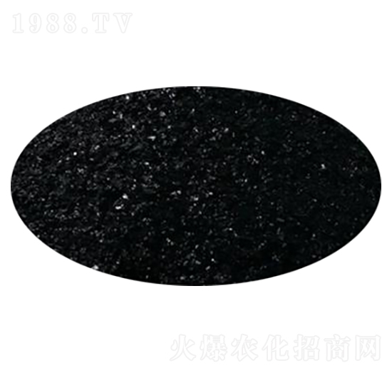 ���徫-��S����