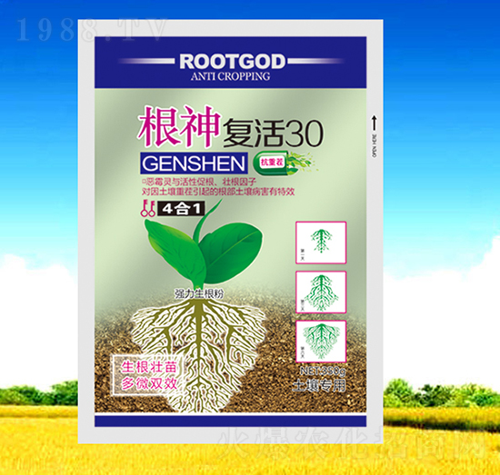 根神復活30-美德生物