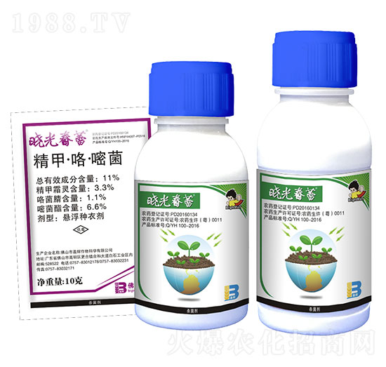 11%���ס������׾�-�Թⴺ��-ӯ�x