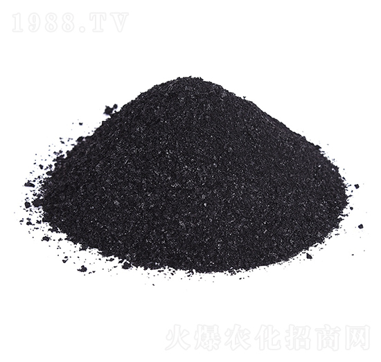 �VԴ�S�����-�𺣵|