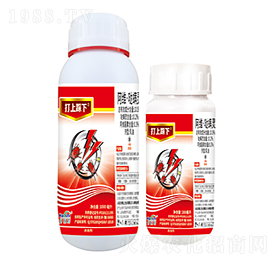 10.5%���S���}���`-���ϲ���-����������