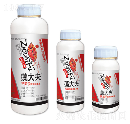 鈣鎂樂膨果靚果素-藻大夫-金一諾生物