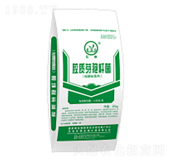 膠質芽孢桿菌粉劑-巨微生物