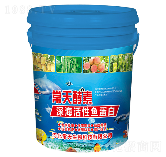 深?；钚贼~蛋白-常天酵素-常天生物