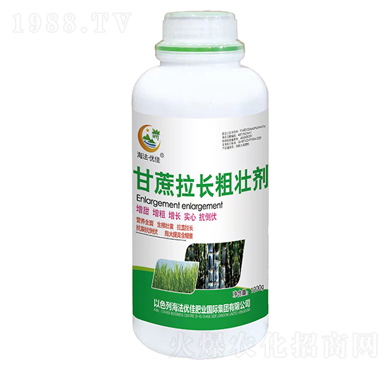 �������L(zh��ng)�։ф�-������(y��u)��