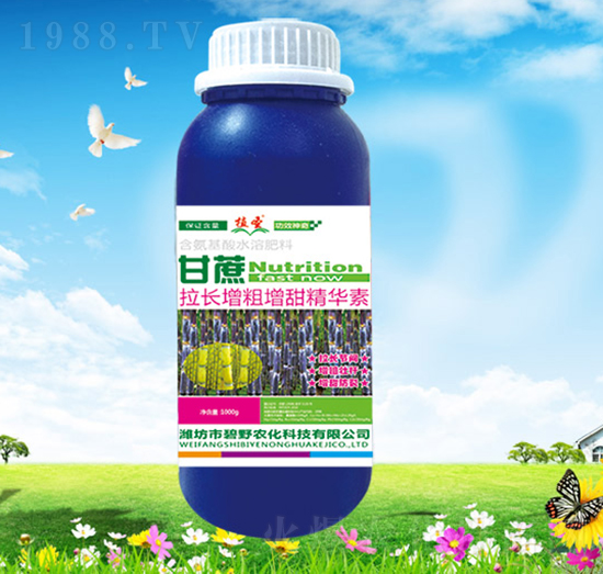 甘蔗拉長(zhǎng)增粗增甜精華素-碧野農(nóng)化