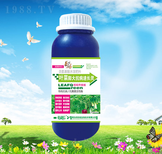 葉菜膨大抗病速長靈-碧野農(nóng)化