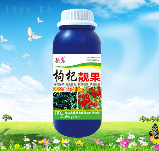 枸杞靚果-植圣-碧野農(nóng)化