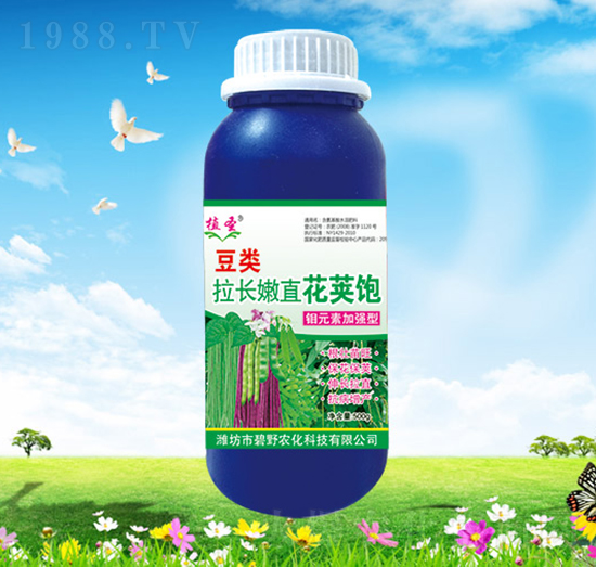 豆類拉長嫩直花莢飽-植圣-碧野農(nóng)化