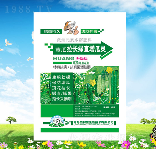 黃瓜拉長(zhǎng)綠直增瓜靈-碧野農(nóng)化
