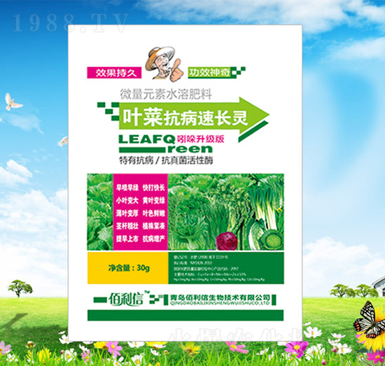 葉菜抗病速長靈-碧野農(nóng)化
