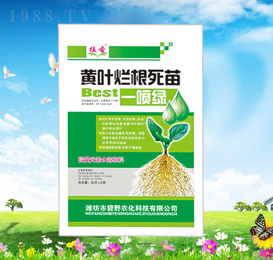 黃葉爛根死苗一噴綠-植圣-碧野農(nóng)化