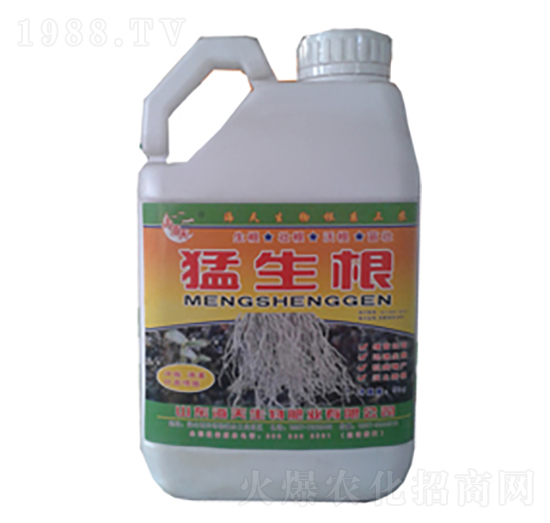 5����������-��������