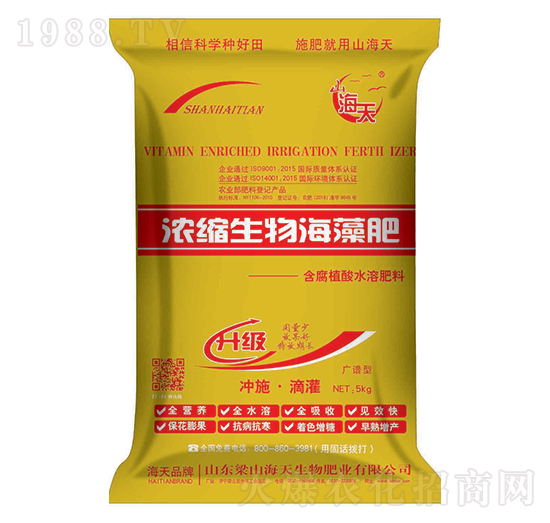 ��s���ﺣ���-��������