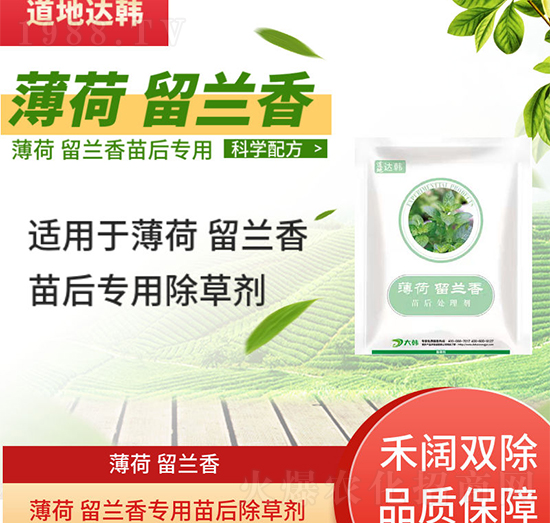 薄荷留蘭香除草劑-薄荷留蘭香苗后-薄荷留蘭香專(zhuān)用-大韓