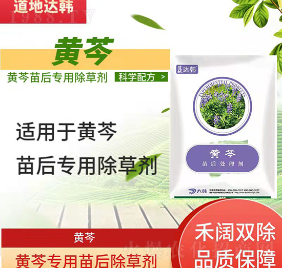 黃芩除草劑-黃芩苗后-黃芩專用-大韓