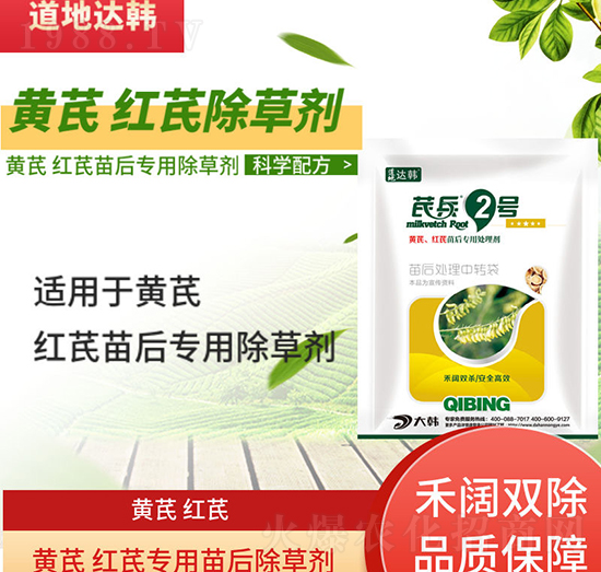 �S�μt�γ��݄�-�S�μt�����-�S�μt�Ό�(zhu��n)��-���n