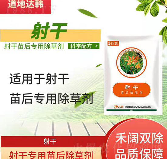 射干除草劑-射干苗后—射干專(zhuān)用—大韓