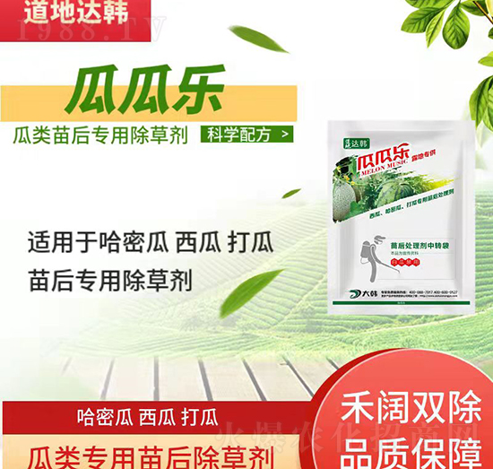 瓜類除草劑-瓜類苗后-瓜類專用-瓜瓜樂(lè)-大韓