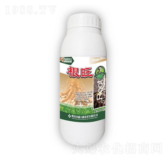 ����ƿ�b-����ʩ