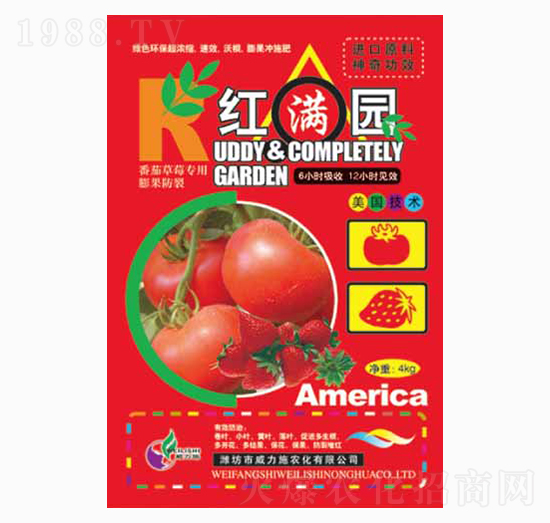 �t�M�@4kg-����ʩ