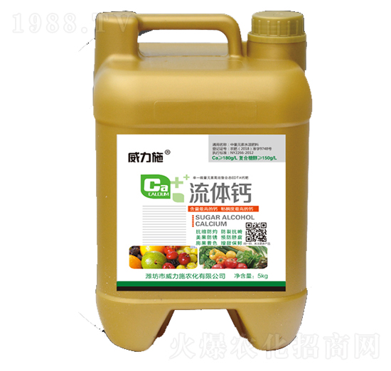 ���w�}-����ʩ