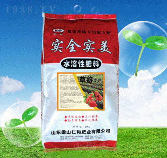 草莓專用水溶性肥料-實全實美-仁和肥業(yè)