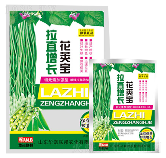 拉直增長(zhǎng)花莢寶-華諾聯(lián)邦