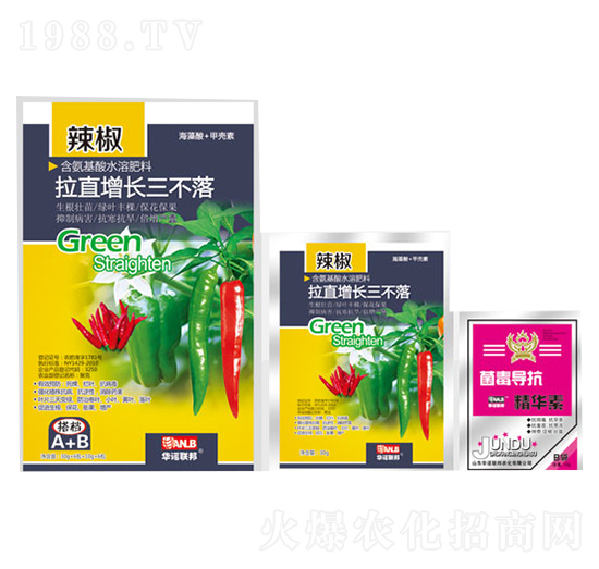 辣椒拉直增長(zhǎng)三不落-華諾聯(lián)邦