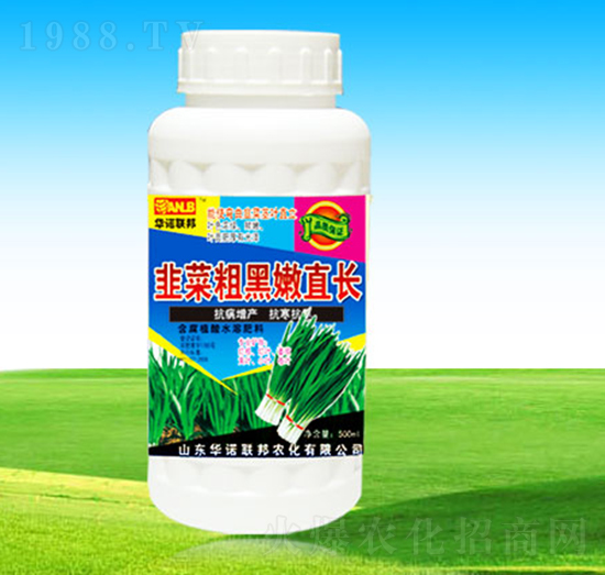 韭菜粗黑嫩直長-華諾聯(lián)邦