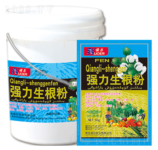 ��(qi��ng)�������� �R������