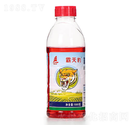 1000�˲ݸ�좮������} ���챪 ϲ�S��