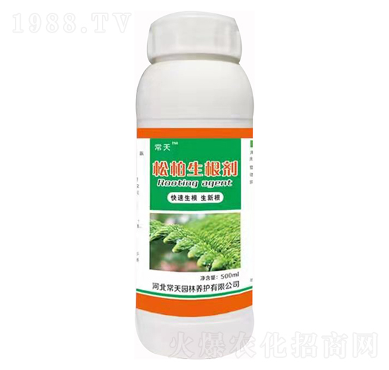 松柏生根劑 常天