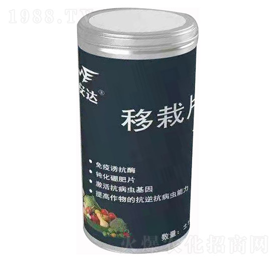 移栽片 邁安達(dá)