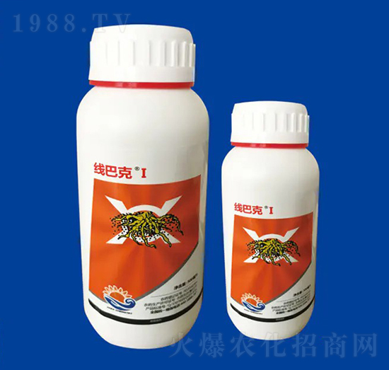 20%����� ���Ϳ�I ��Ƚ���W(xu��)