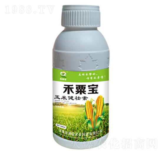 玉米健壯素 禾栗寶 金滿盈農業(yè)