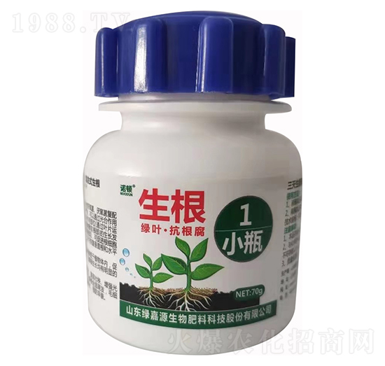 綠葉抗根腐 生根 綠嘉源