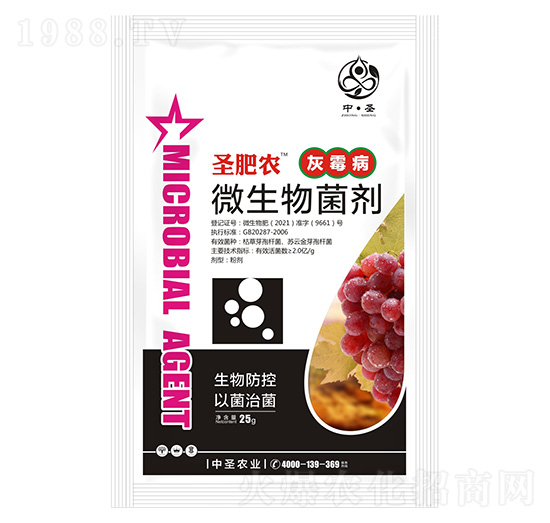 灰霉病專用微生物菌劑-圣肥農(nóng)-中圣農(nóng)業(yè)